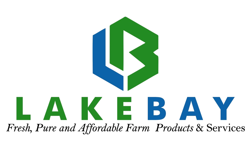 LakeBay Limited